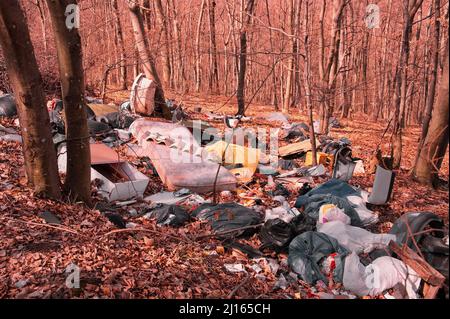 Wilde Müllhalde im Wald Stockfoto