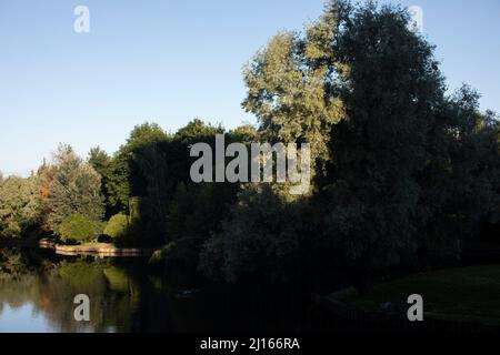 See im Park. Teich in der Stadt. Wasseroberfläche. Schatten auf dem See. Stockfoto