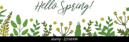 Hello Spring Banner mit grünen floralen Elementen. Handgezeichnete Vektorgrafik Stock Vektor