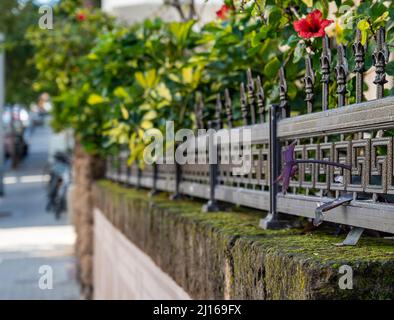 Dekorativer Metallzaun in Blumen auf einer Betonkanone, die perspektivisch mit Moos bedeckt ist Stockfoto