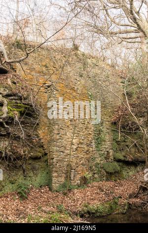 Die Überreste einer alten Steinmauer, wahrscheinlich ein industrielles Relikt, in Pontburn Woods, Co. Durham, England, Großbritannien Stockfoto