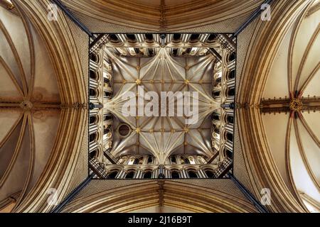 Lincoln Kathedrale, Gewölbe in der Vierung Stockfoto