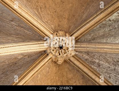 Lincoln Kathedrale, Schlußstein Im Südlichen Seitenschiff Stockfoto