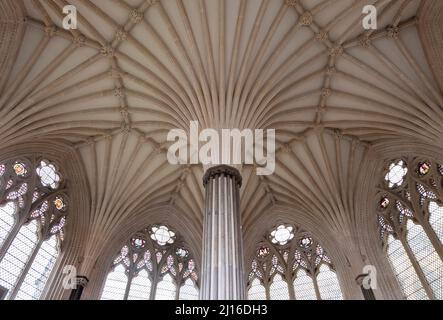 Brunnen, Kathedrale, Kapitelsaal, Blick ins Gewölbe , St., Sankt, Sankt Stockfoto