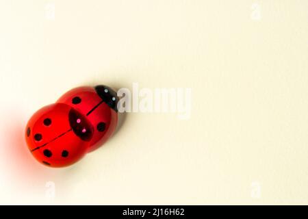 Zwei Marienkäfer-Statuetten auf einer farbigen Oberfläche Stockfoto