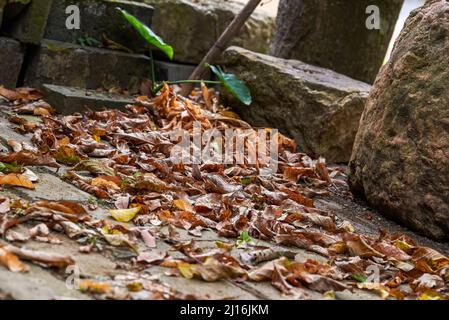 Steingebäude und gefallene Blätter im alten Dorf Stockfoto