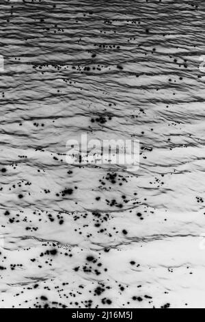 Kontrastreiche Schwarz-Weiß-Farben der ruhigen Oberfläche eines Sees. Stockfoto