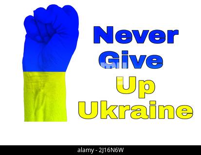 The man's Fist with A Flag of Ukraine Isolated on Never Give Up Ukraine Text Weißer Hintergrund Stockfoto
