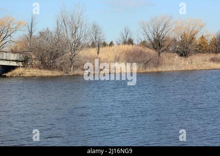 Goldene Gräser wachsen entlang der Küste an einem kalten, aber sonnigen Wintertag. Stockfoto