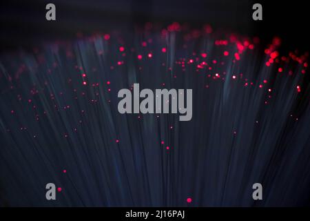 Lichtwellenleiter-Lampe bei Dunkelheit Stockfoto