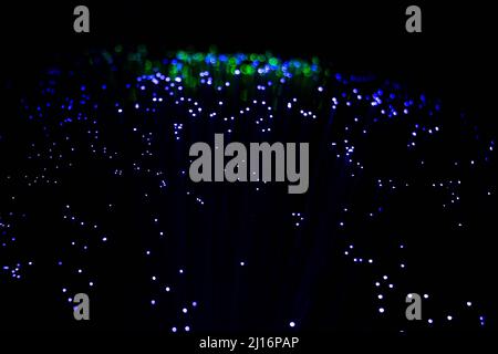 Lichtwellenleiter-Lampe bei Dunkelheit Stockfoto