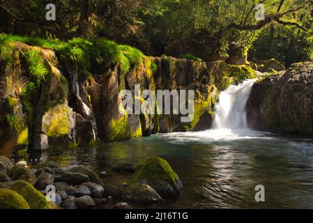 Reimei-Fälle, Kikuchi-Schlucht im Winter, Präfektur Kumamoto, Japan Stockfoto