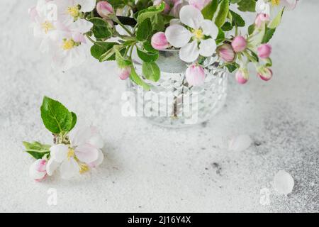 Zweige mit weißen Apfelblüten in transparentem Glas auf grauem Hintergrund. Stillleben, Ostern Grußkarte Stockfoto