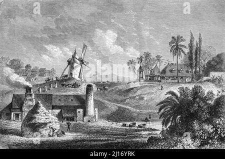 Sugar Plantation oder Estate and Sugar Factory in Guadaloupe, einem französischen Überseegebiet in der Karibik. Vintage Illustration oder Gravur 1860. Stockfoto