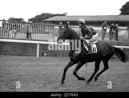 Aktenfoto vom 29-07-1970 von Treasury Bill unter der Sattel von Jimmy Lindley in Lambourne, in der Grafschaft Bekshire. Jimmy Lindley, einer der führenden Jockeys der 1960s und 70s und später ein angesehener Experte der BBC, ist im Alter von 86 Jahren gestorben. Ausgabedatum: Mittwoch, 23. März 2022. Stockfoto