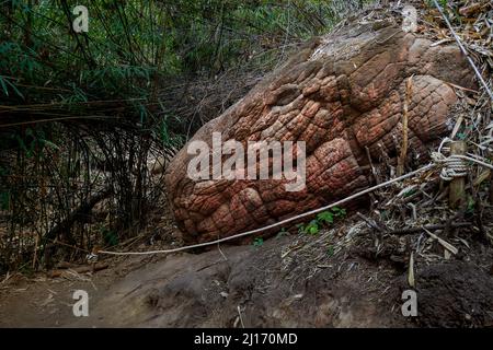 Große Steine, die Schlangenschuppen ähneln. Dies ist die Höhle von Naka, Provinz Bueng Kan. Thailand Stockfoto