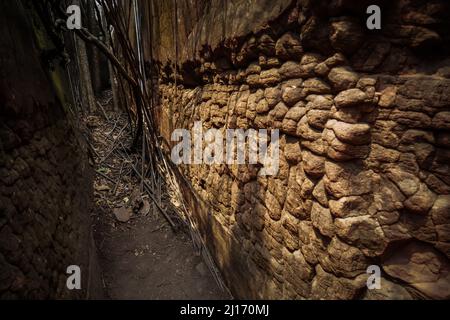 Große Steine, die Schlangenschuppen ähneln. Dies ist die Höhle von Naka, Provinz Bueng Kan. Thailand Stockfoto