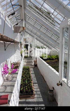 Das Melon House mit einer Spannweite von drei Viertel, das derzeit zur Anzucht von Setzlingen verwendet wird: The Melon Yard, Lost Gardens of Heligan, Cornwall, Großbritannien Stockfoto