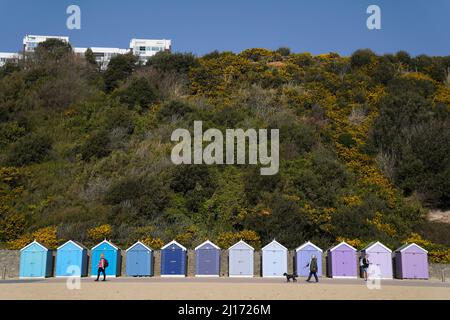 Die Menschen laufen an Strandhütten vorbei, während sie das warme Wetter am Bournemouth Beach in Dorset genießen. Bilddatum: Mittwoch, 23. März 2022. Stockfoto