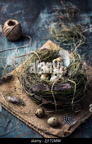 Nest mit Wachteleiern zu Ostern und blühenden Ästen auf schwarzem Hintergrund Stockfoto