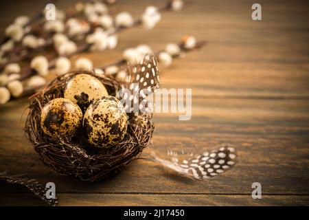 Frische Wachteleier. Rustikaler Stil auf dunklem Holz Hintergrund. Osterbild im Vintage-Stil Stockfoto
