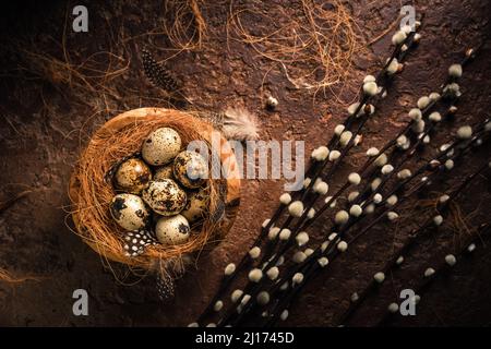 Frische Wachteleier. Rustikaler Stil auf dunklem Holz Hintergrund. Osterbild im Vintage-Stil Stockfoto