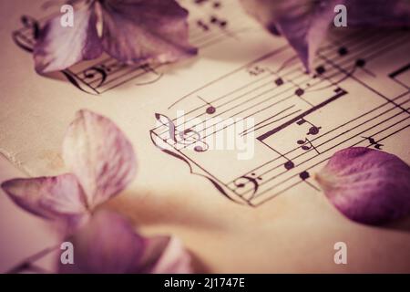 Notenblatt mit getrockneten Blumen im Vintage-Stil Stockfoto