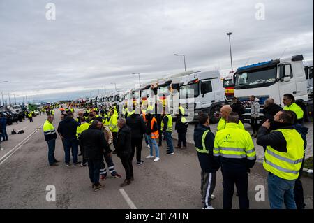 Madrid, Spanien. 23. März 2022. Während des zehnten Tages eines nationalen Verkehrsstreiks werden Lastwagen geparkt. Lkw-Fahrer protestieren gegen ihre prekären Arbeitsbedingungen sowie gegen den Anstieg der Kraftstoffpreise, der durch den russischen Einmarsch in die Ukraine verstärkt wird. Trucker versammelten sich mit mehr als 600 Lastwagen und Betonmischern und werden einen unbefristeten Streik aufrechterhalten, bis sie eine Einigung mit der Regierung erzielen. Quelle: Marcos del Mazo/Alamy Live News Stockfoto