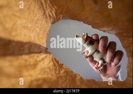 Eine Hand legt eine Schweinegaltung in einen Papierbeutel. Die Hand eines reifen Mannes hält das Spielzeug eines Kindes über einer offenen braunen Tasche. Von unten nach oben geschossen. Nahaufnahme. Auswahl Stockfoto