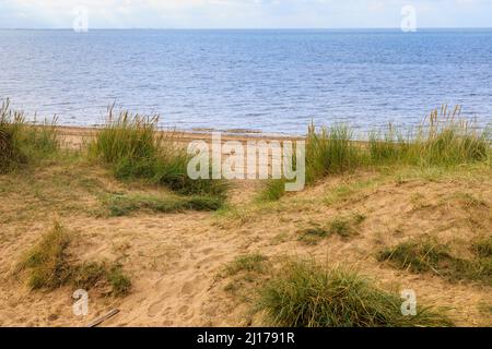 Sanddünen am Meer, die zum North Beach in Heacham führen, einem Küstendorf im Westen von Norfolk, England, mit Blick auf die Wash Stockfoto