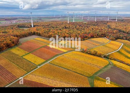 Drohnenansicht der riesigen ländlichen Weinberge im Herbst mit Windpark-Turbinen im Hintergrund Stockfoto