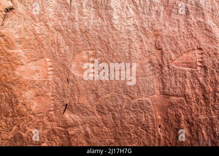 Felszeichnungen, die in einer Sandsteinwand in einer Puebloan-Ruine der Vorfahren in Mule Canyon auf Cedar Mesa in der Shash Jaa Unit of the Bears Ears N gemeißelt wurden Stockfoto