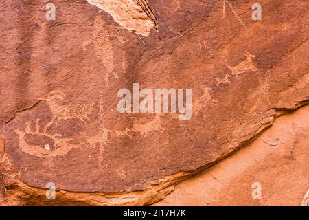 Das Moab man Panel ist ein großes Fremont Culture Rock Art Panel der Ureinwohner Amerikas im Mill Creek Canyon in der Nähe von Moab, Utah. Diese Petroglyphen sind 800 bis 100 Stockfoto