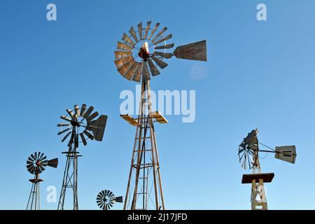 Eine Sammlung historischer Metallwindmühlen steht vor einem blauen Himmel im Farm and Ranch Museum, das Teil eines Museumskomplexes in Elk City, Oklahoma, ist. Stockfoto