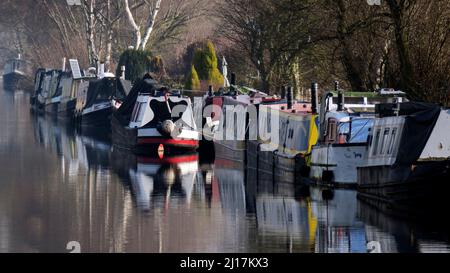 Foto Trent und Mersey Canal eine britische Wasserwege Canal in der Nähe von Tixall in Staffordshire zeigt eine leichte Formen der Natur gespiegelt auf der Oberfläche von w Stockfoto