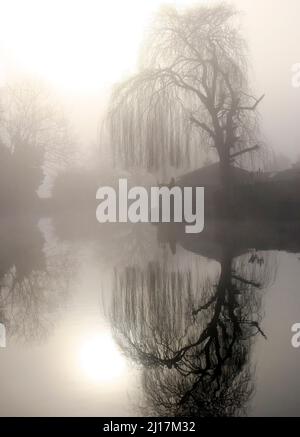 Misty am frühen Morgen auf den Trent und Mersey Canal eine britische Wasserwege Canal in der Nähe von Handsacre in Staffordshire, gedämpftes Licht Formen der Natur, so Stockfoto