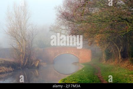 Misty am frühen Morgen auf den Trent und Mersey Canal eine britische Wasserwege Canal in der Nähe von Handsacre in Staffordshire, gedämpftes Licht Formen der Natur, so Stockfoto