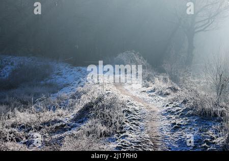 Frostbedeckte Winterlandschaft nebliger Morgen im Castle Ring Cannock Forest auf Cannock Chase AONB (Gebiet von außergewöhnlicher natürlicher Schönheit) in Staffords Stockfoto