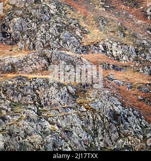 Naturfoto der Geologie, das zufällige Muster, Textur, Form zeigt, mit einer subtilen Farbpalette in einem halbabstrakten Stil im Nantgwynant Valley Stockfoto