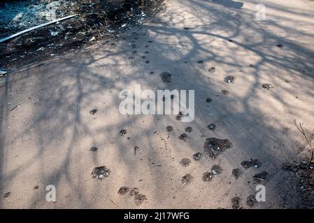 Kiew, Maine, Ukraine. 23. März 2022. Beschädigter Beton durch Schrapnel bei einem russischen Luftangriff in Kiew. (Bild: © Seth Sidney Berry/ZUMA Press Wire) Bild: ZUMA Press, Inc./Alamy Live News Stockfoto