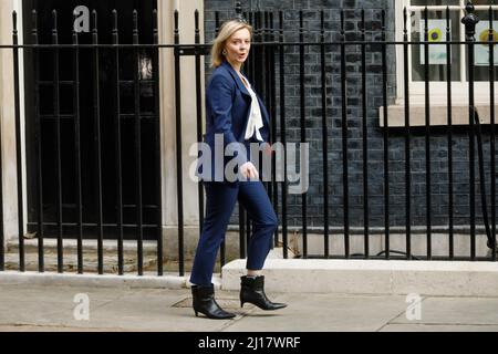 Downing St. London, Großbritannien. 23.. März 2022.die Abgeordnete von RT Hon Elizabeth Truss, Staatssekretärin für auswärtige Angelegenheiten, Commonwealth- und Entwicklungsfragen, Ministerin für Frauen und Qualitäten, kommt heute Morgen in der Downing Street 10 zum Kabinettstreffen an. Chris Aubrey/Alamy Live News Stockfoto