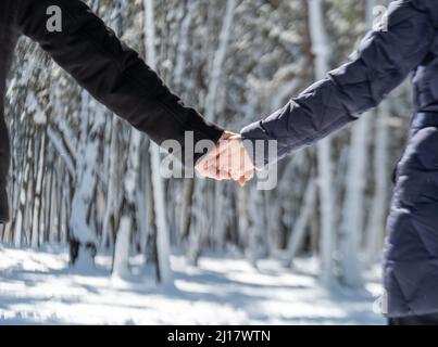 Romantisches junges Paar in einem verschneiten Wintertag zu Fuß draußen, während die Hände in den Wald. Nahaufnahme Foto von einem Dating-Paar. Stockfoto