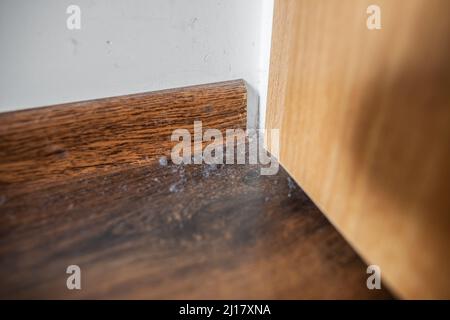 Nahaufnahme von Hausstaub Klumpen in Ecke Staubhasen auf braunem Boden vernachlässigt Ecke mit Schicht aus Staub und Schmutz gefüllt Stockfoto