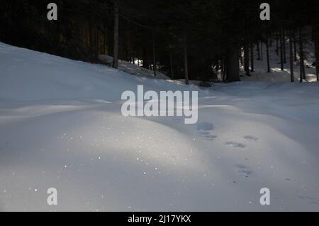 Fotos der schneebedeckten Dolomiten während einer Wintertour und der kleinen Dörfer in den Bergtälern an einem sonnigen, kalten Tag Stockfoto