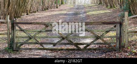 Ein gut abgenutztes Holztor mit fünf Bars, das von einer Landschaft umgeben ist, die direkt auf dem Platz zu sehen ist, mit einem Pfad durch den Wald dahinter Stockfoto