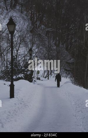 Ein Mann geht alleine durch einen schneebedeckten Garten mit Bäumen im Hintergrund Stockfoto