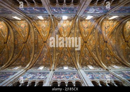 Fresken auf dem Gewölbe der Kathedrale Santa Maria Assunta in Parma, Italien. Stockfoto