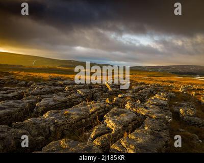 Winter auf Malham Lings oberhalb von Malham, Yorkshire Dales Stockfoto