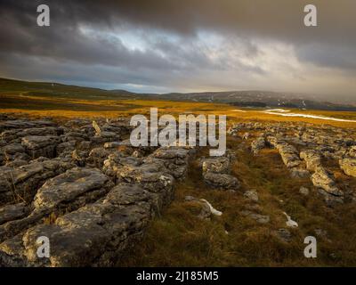 Winter auf Malham Lings oberhalb von Malham, Yorkshire Dales Stockfoto