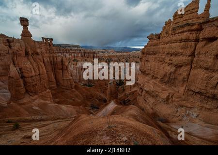 Thors Hammer im Bryce Canyon National Park, Utah, USA Stockfoto